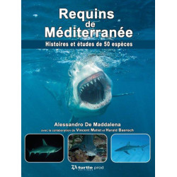 Requins de Méditerranée  - GAP