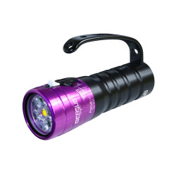 Focus EVO Tek - BERSUB  - BERSUB