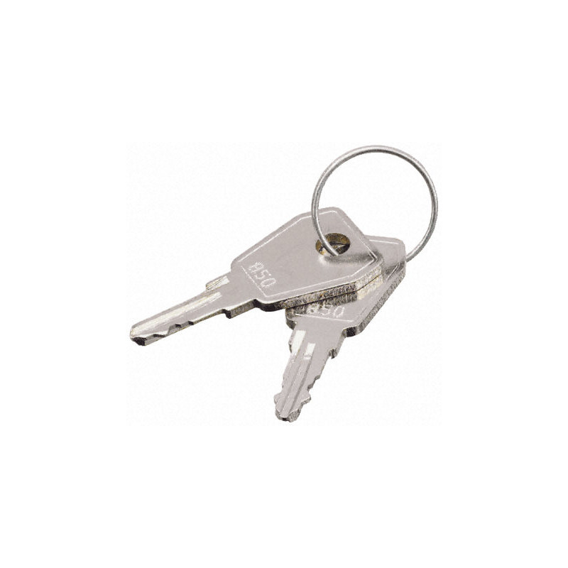 Clé de remplacement pour stick - NTS  - NTS