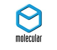 Molecular